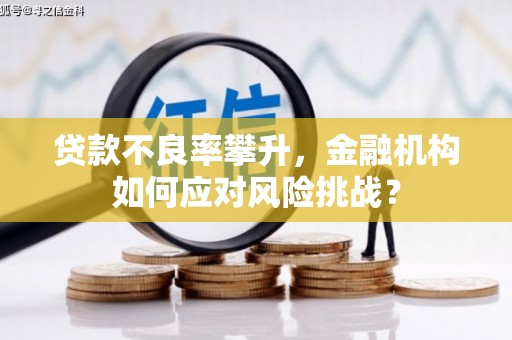 龙江贷款不良率攀升，金融机构如何应对风险挑战？