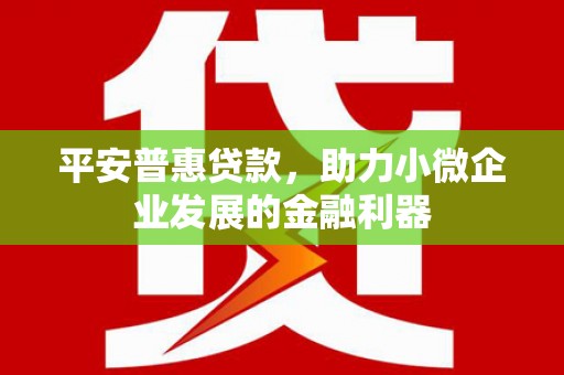 龙江平安普惠贷款，助力小微企业发展的金融利器