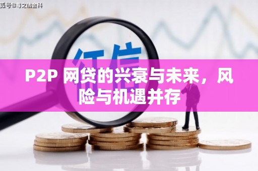 龙江P2P 网贷的兴衰与未来，风险与机遇并存