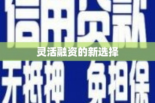 龙江灵活融资的新选择
