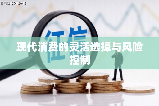 龙江现代消费的灵活选择与风险控制