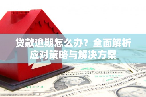 龙江贷款逾期怎么办？全面解析应对策略与解决方案