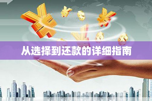 龙江从选择到还款的详细指南