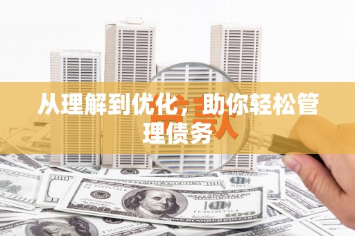 龙江从理解到优化，助你轻松管理债务