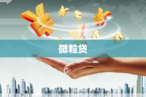 龙江微粒贷