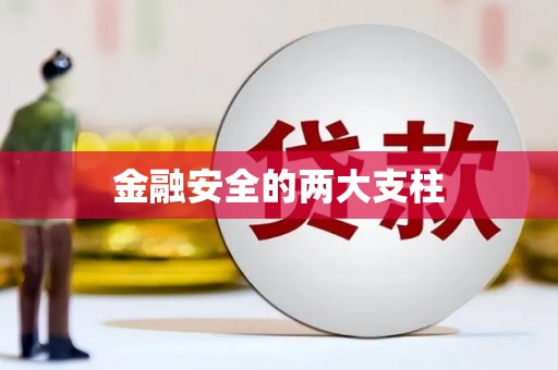 龙江金融安全的两大支柱