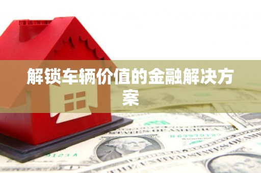 龙江解锁车辆价值的金融解决方案