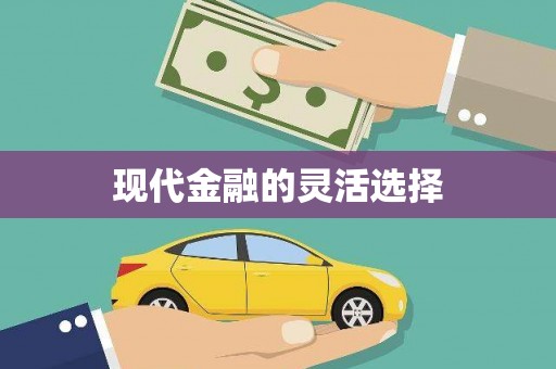 龙江现代金融的灵活选择