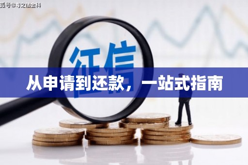 龙江从申请到还款，一站式指南