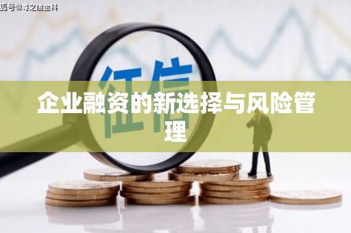龙江企业融资的新选择与风险管理