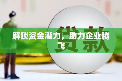 龙江解锁资金潜力，助力企业腾飞