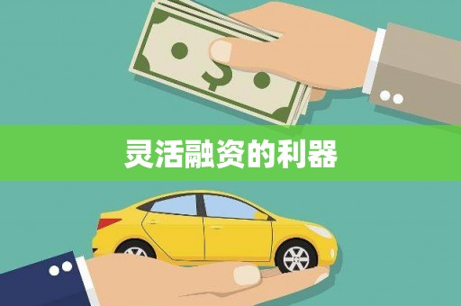 龙江灵活融资的利器