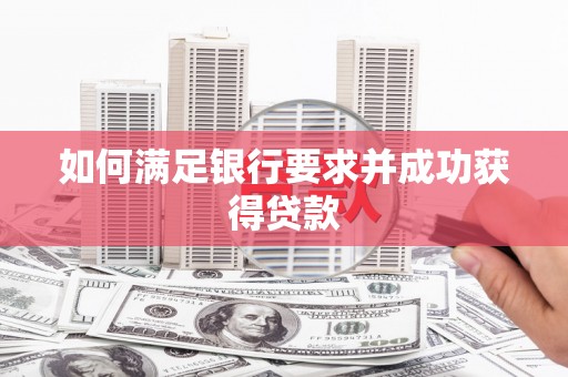 龙江如何满足银行要求并成功获得贷款