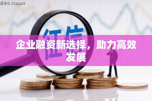 龙江企业融资新选择，助力高效发展