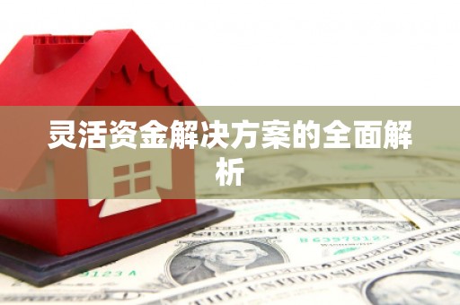 龙江灵活资金解决方案的全面解析