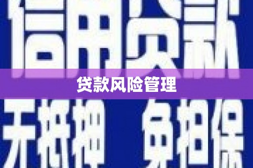龙江贷款风险管理