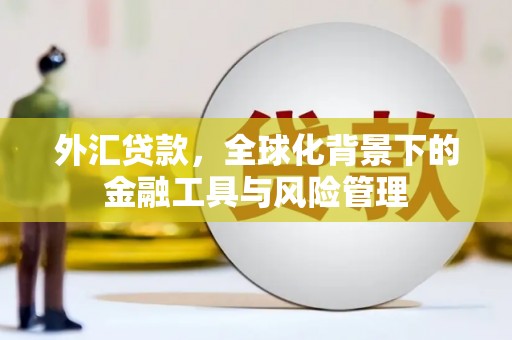 龙江外汇贷款，全球化背景下的金融工具与风险管理