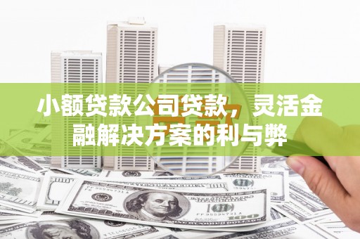 龙江小额贷款公司贷款，灵活金融解决方案的利与弊